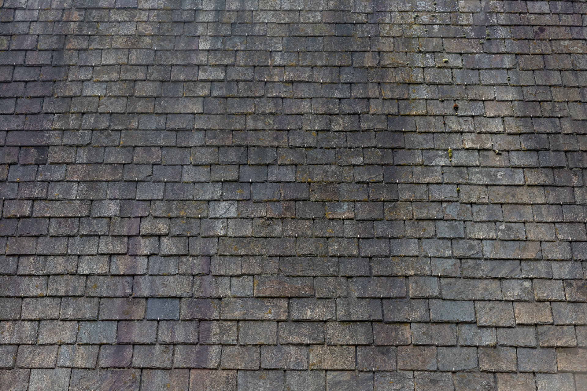 How To Get Rid Of Black Streaks On A Roof Smart Exteriors