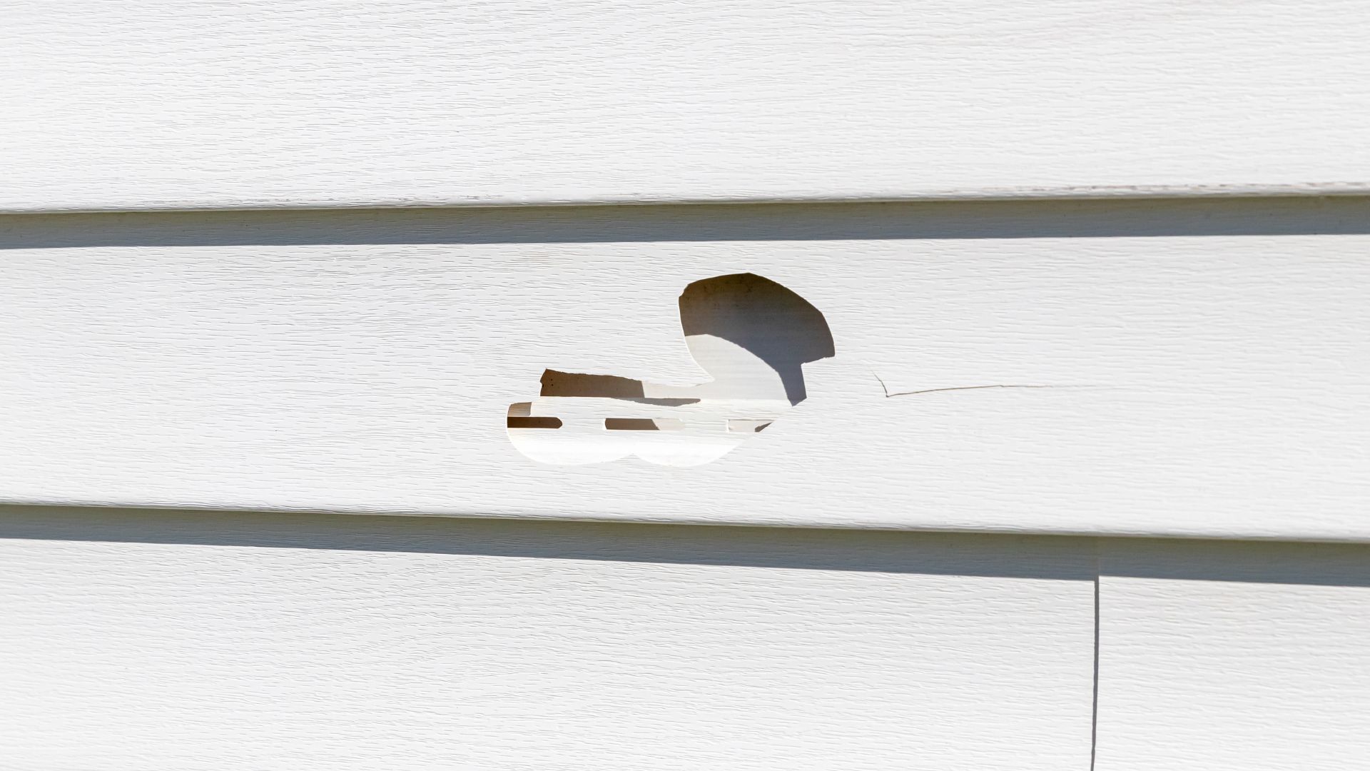 Siding Damaged After Severe Fall Storms