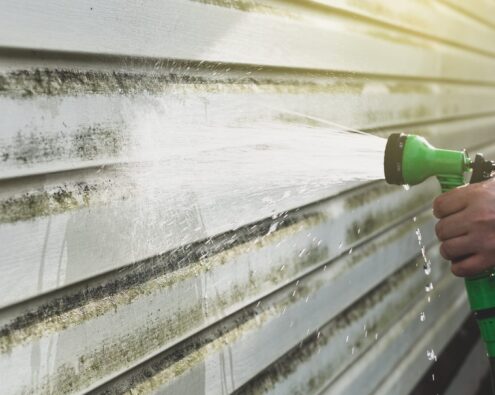 Mold and Mildew on siding