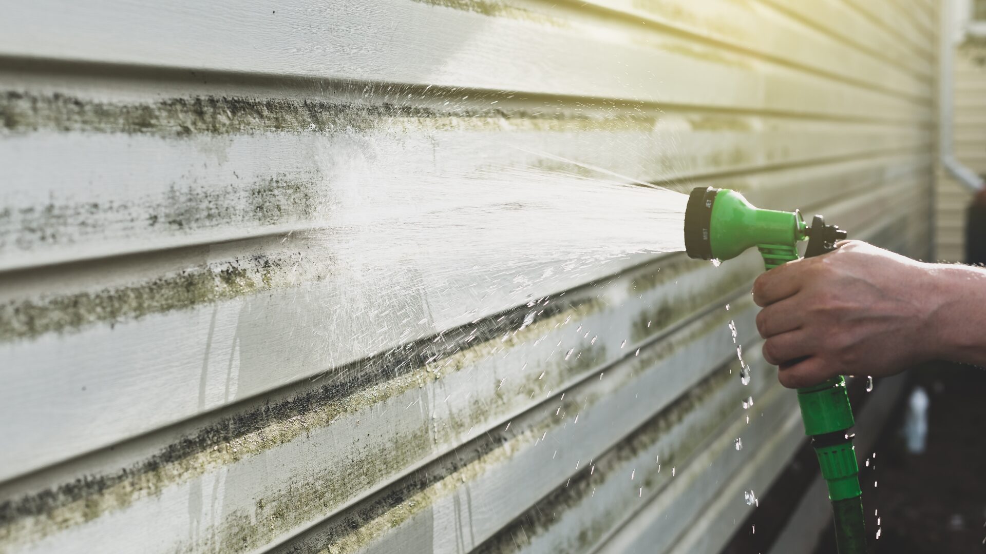 Mold and Mildew on siding